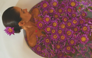 The Fortress Resort and Spa