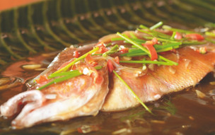 The Fortress Resort and Spa