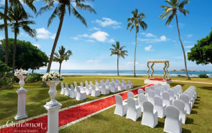 Hikka Tranz by Cinnamon