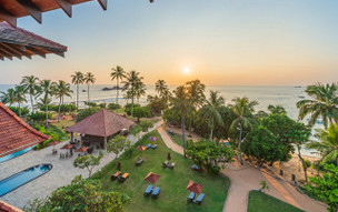 Hikka Tranz by Cinnamon