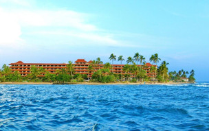 Hikka Tranz by Cinnamon