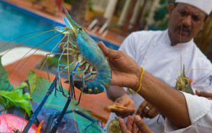 Dickwella Resort & Spa