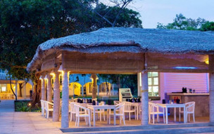 Trinco Blu by Cinnamon