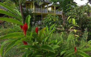 Merrils Beach Resort III