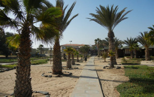 Oásis Atlantico Belorizonte