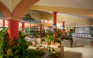 Starfish Cuatro Palmas