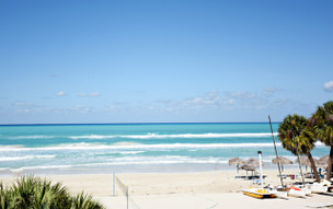 Starfish Cuatro Palmas