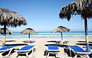 Starfish Cuatro Palmas