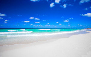 Starfish Cuatro Palmas