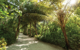 OBLU NATURE Helengeli by SENTIDO