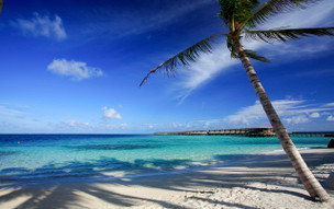 Centara Ras Fushi Resort and Spa