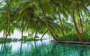 One and Only Reethi Rah