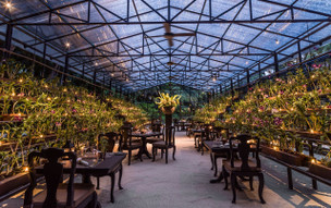 One and Only Reethi Rah