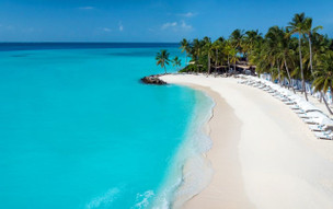 One and Only Reethi Rah