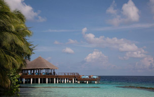 Coco Bodu Hithi