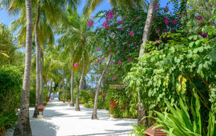 Banyan Tree Vabbinfaru