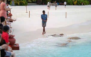 Banyan Tree Vabbinfaru