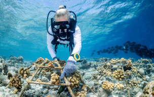 Cocoa Island by COMO