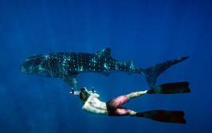 LUX* South Ari Atoll Resort & Villas