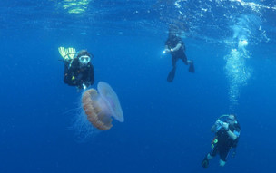 Adaaran Select Meedhupparu