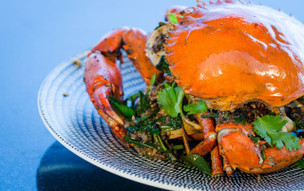 Finolhu Seaside Collection