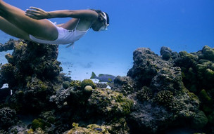 Dusit Thani Maldives
