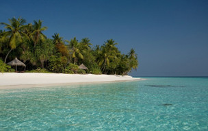 Coco Palm Dhuni Kolhu