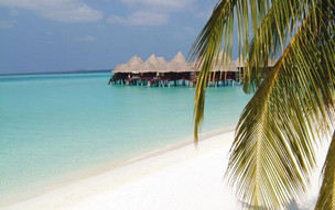 Coco Palm Dhuni Kolhu