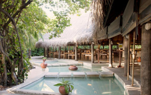 Coco Palm Dhuni Kolhu