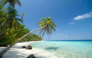 Filitheyo Island Resort