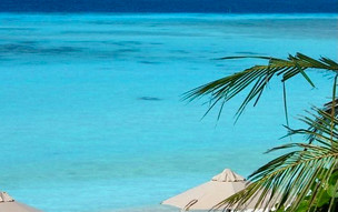 The Barefoot Eco Hotel