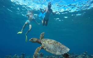 The Barefoot Eco Hotel