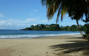 Plantation Beach Villas