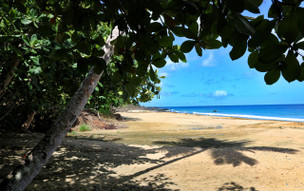 Plantation Beach Villas