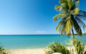 Starfish Tobago Resort