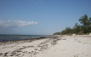 watamu