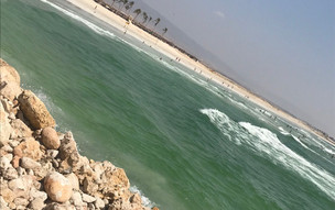 salalah (3)