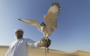 Spojené arabské emiráty