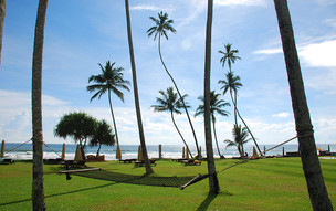 galle3