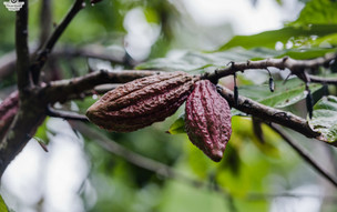 zanzibar-picutres-47_50248268581_o