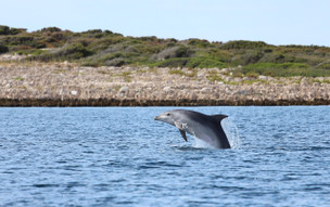 Tanzánie a Zanzibar