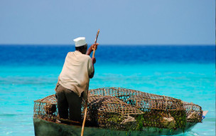 zanzibar_47384997761_o