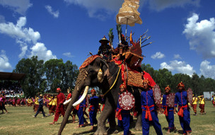 Surin Elephant Roundup, Surin