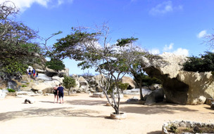 Aruba - Ayo a Casibari