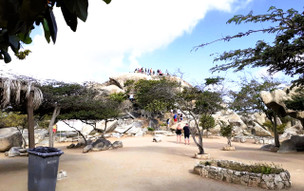 Aruba - Ayo a Casibari