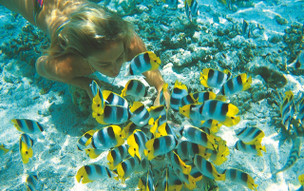 Francouzská Polynésie - parametry