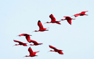 Trinidad a Tobago - geografie