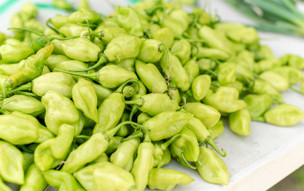 Trinidad a Tobago - ekonomika