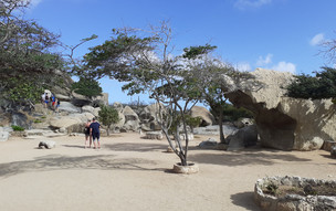 aruba1 (2)