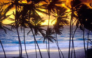 Barbados_Náladovky (8)